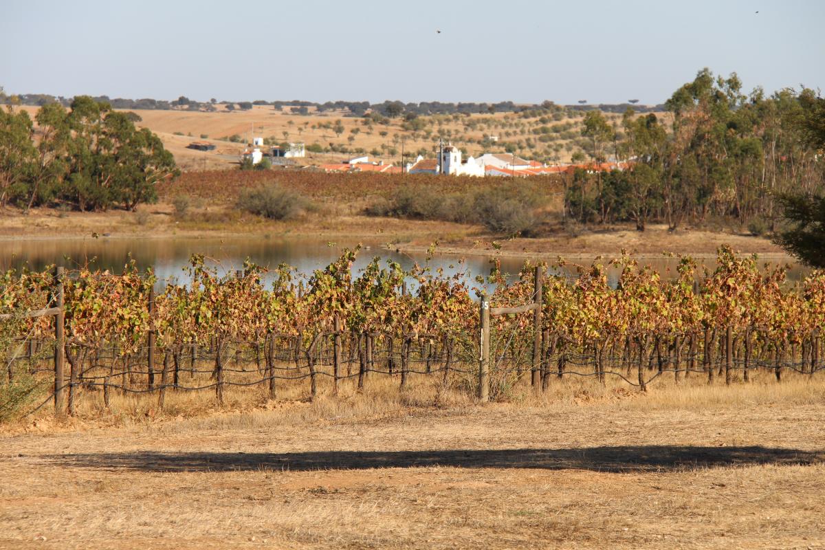Alentejo (Portugal) entdecken