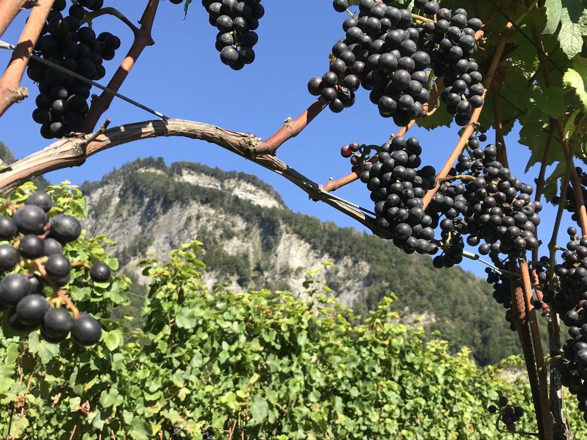 Graubünden entdecken