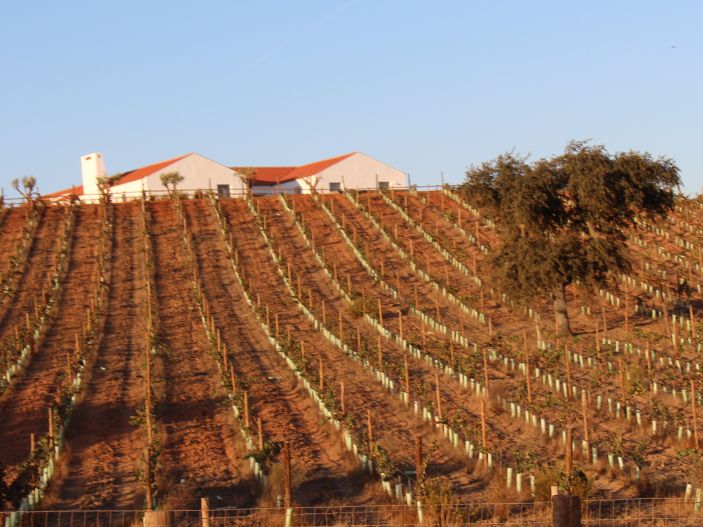 weinwunder in Portugal