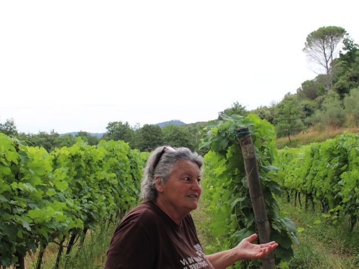 Besuch bei Mulini di Segalari - Bolgheri