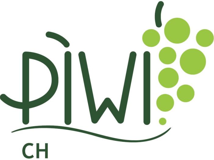 PIWI Wein Zeit